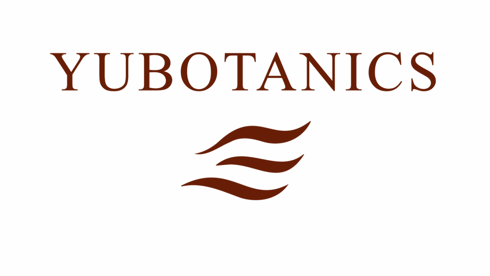 Yubotanics logo with botanical wave symbol