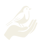 Animal-friendly skincare symbol with bird and hand